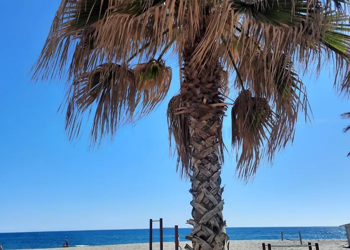 Carvajal Front Line Primera Linea Fuengirola